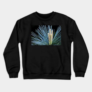 Evergreen shapes Crewneck Sweatshirt